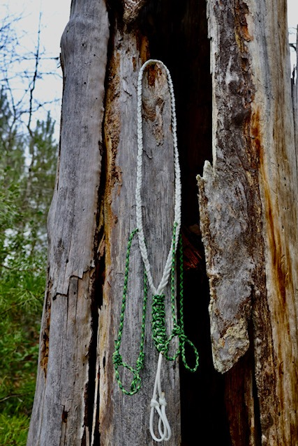 Lanyards 4